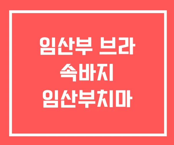 임산부 브라 속바지 임산부치마