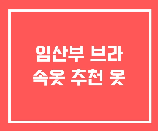 임산부 브라 속옷 추천 옷