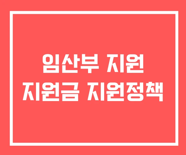 임산부 지원 지원금 지원정책