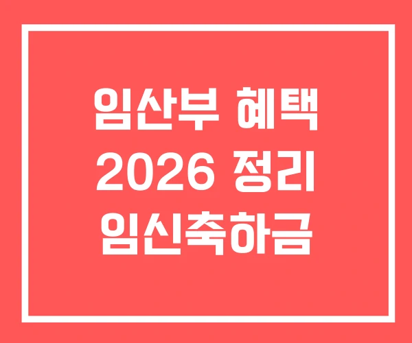 임산부 혜택 2026 정리 임신축하금
