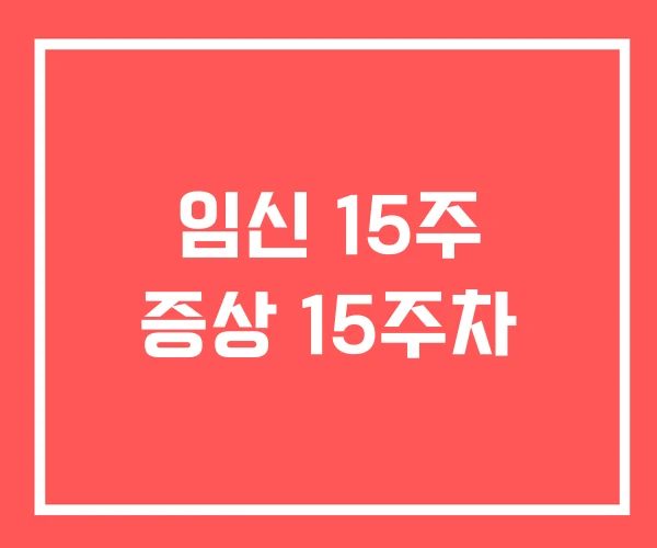 임신 15주 증상 15주차
