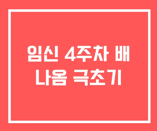 임신 4주차 배 나옴 극초기