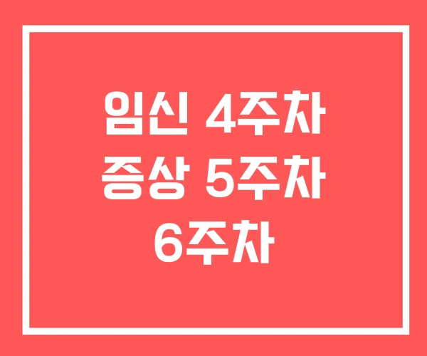 임신 4주차 증상 5주차 6주차