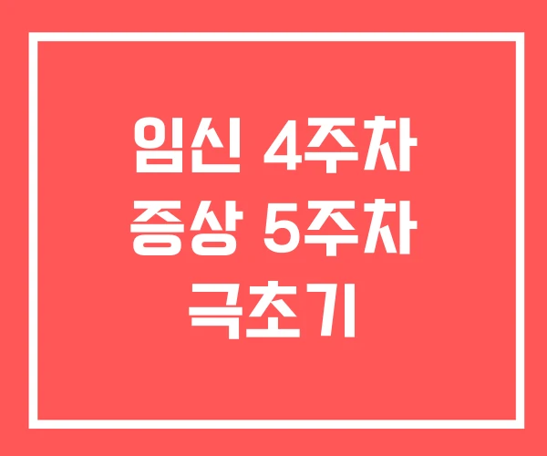 임신 4주차 증상 5주차 극초기
