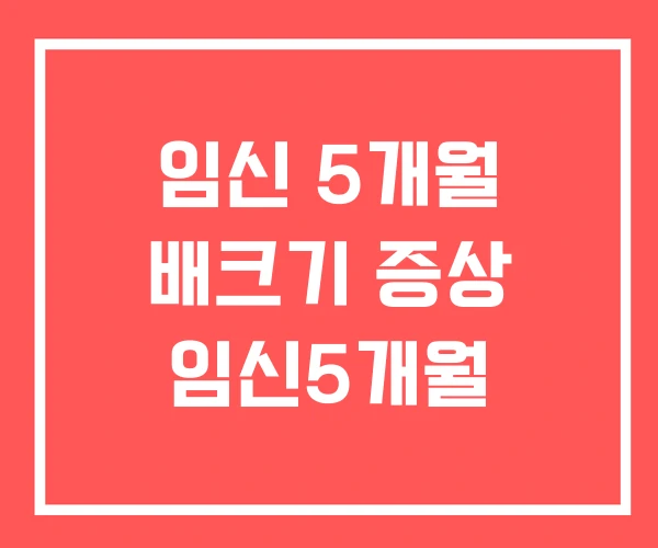 임신 5개월 배크기 증상 임신5개월