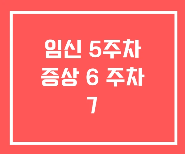 임신 5주차 증상 6 주차 7