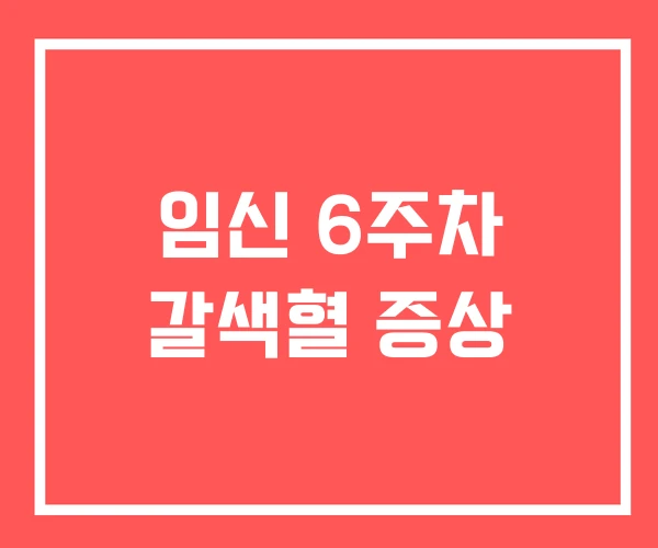 임신 6주차 갈색혈 증상