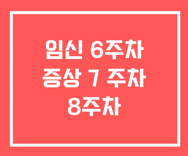 임신 6주차 증상 7 주차 8주차