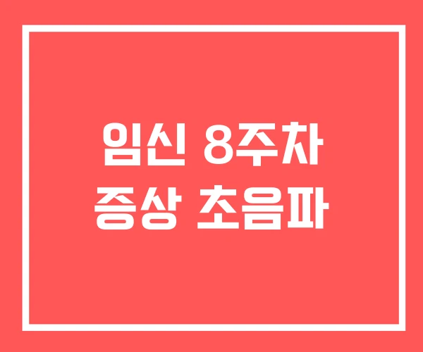 임신 8주차 증상 초음파