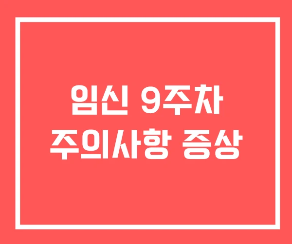 임신 9주차 주의사항 증상