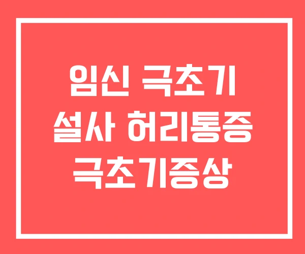 임신 극초기 설사 허리통증 극초기증상