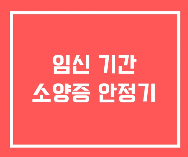 임신 기간 소양증 안정기
