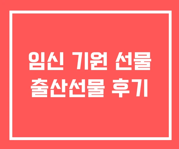임신 기원 선물 출산선물 후기