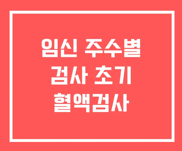 임신 주수별 검사 초기 혈액검사