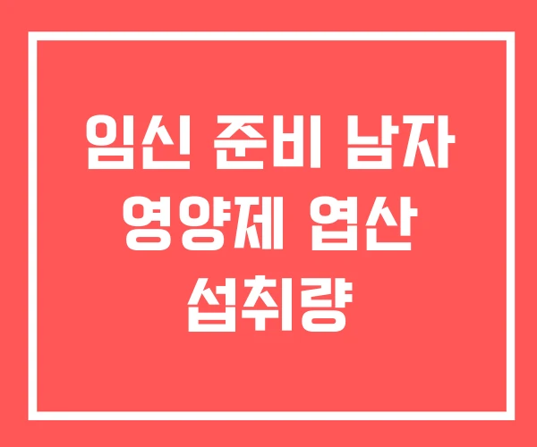 임신 준비 남자 영양제 엽산 섭취량
