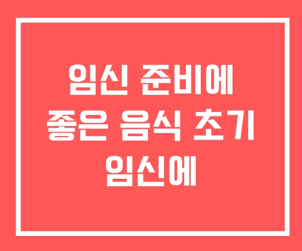 임신 준비에 좋은 음식 초기 임신에