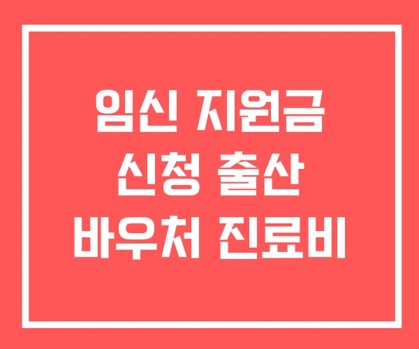 임신 지원금 신청 출산 바우처 진료비
