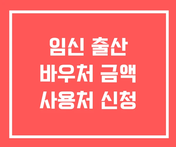 임신 출산 바우처 금액 사용처 신청
