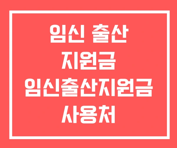 임신 출산 지원금 임신출산지원금 사용처