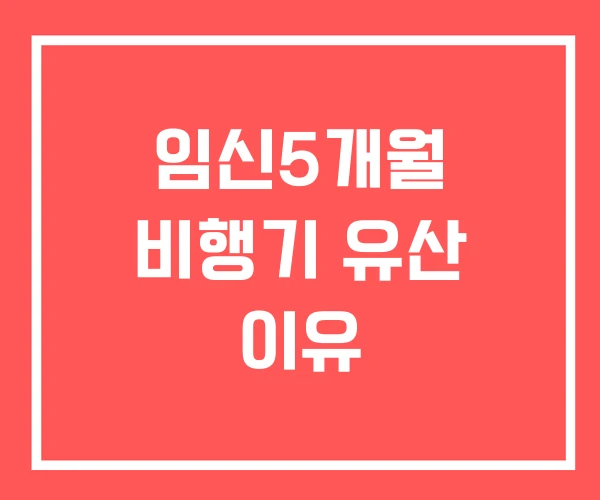 임신5개월 비행기 유산 이유