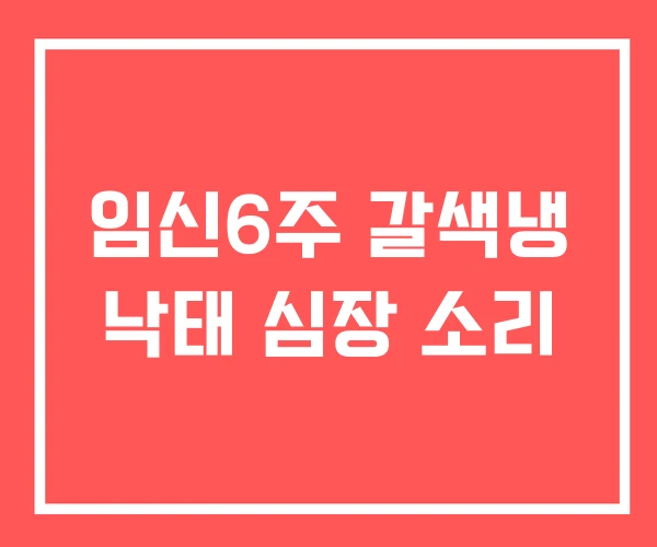 임신6주 갈색냉 낙태 심장 소리