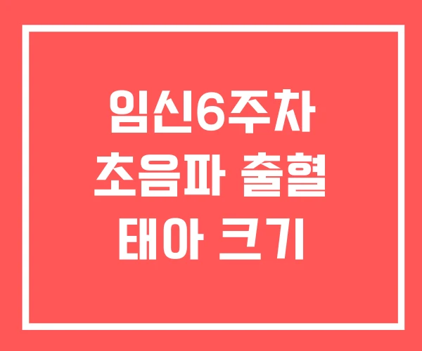 임신6주차 초음파 출혈 태아 크기