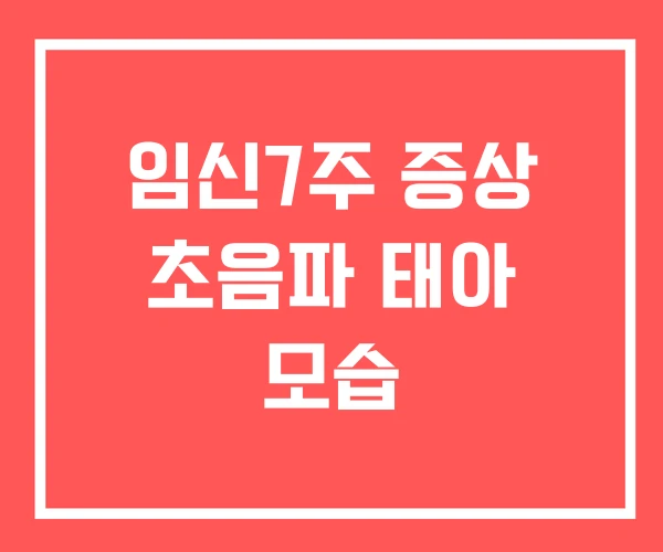 임신7주 증상 초음파 태아 모습