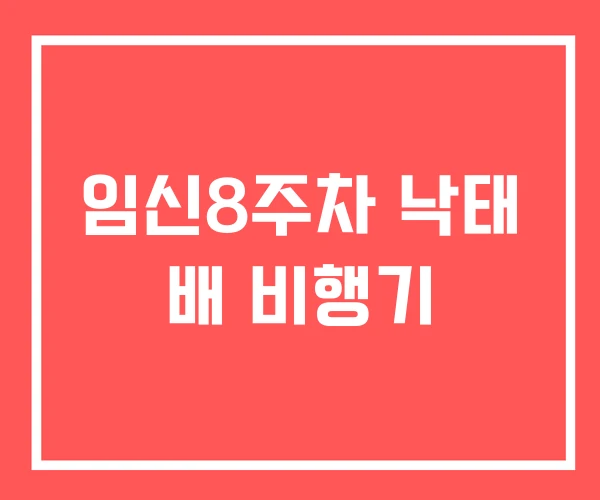 임신8주차 낙태 배 비행기
