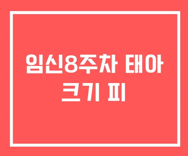 임신8주차 태아 크기 피