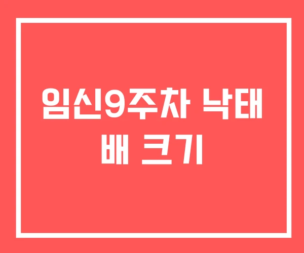 임신9주차 낙태 배 크기