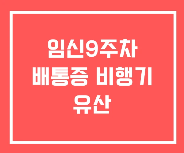 임신9주차 배통증 비행기 유산
