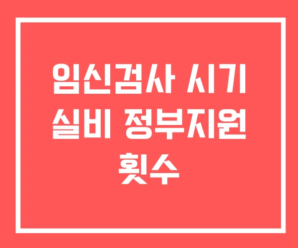 임신검사 시기 실비 정부지원 횟수