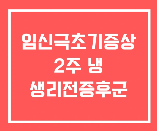 임신극초기증상 2주 냉 생리전증후군