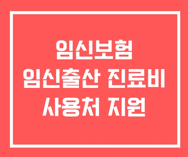 임신보험 임신출산 진료비 사용처 지원