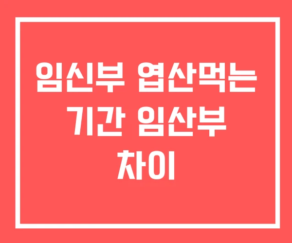 임신부 엽산먹는 기간 임산부 차이