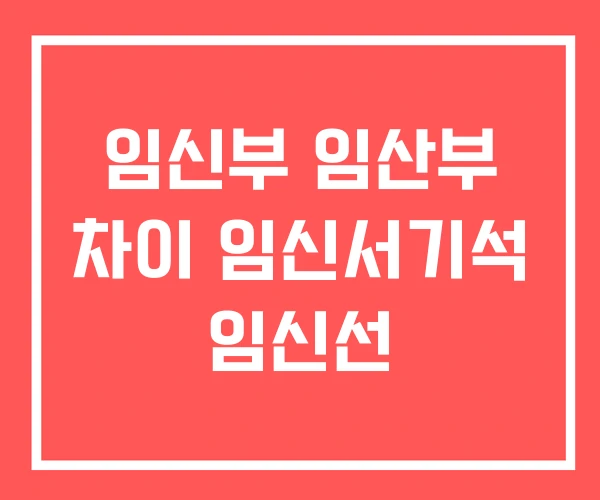 임신부 임산부 차이 임신서기석 임신선