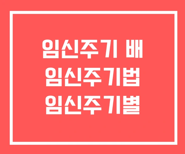 임신주기 배 임신주기법 임신주기별