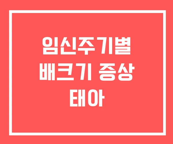 임신주기별 배크기 증상 태아