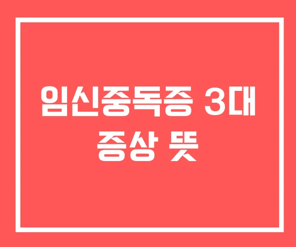 임신중독증 3대 증상 뜻