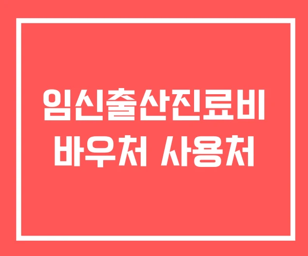 임신출산진료비 바우처 사용처