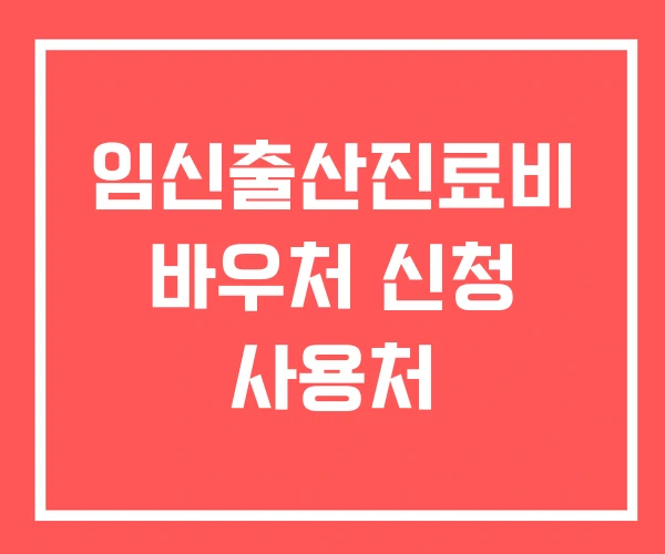 임신출산진료비 바우처 신청 사용처