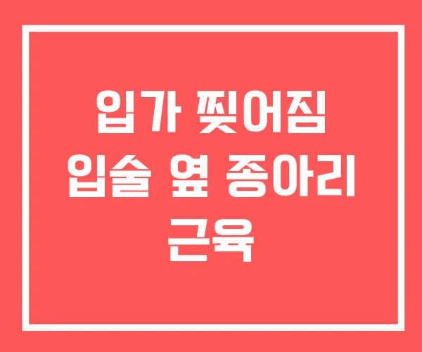 입가 찢어짐 입술 옆 종아리 근육