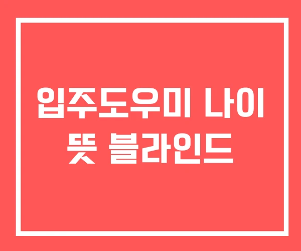 입주도우미 나이 뜻 블라인드