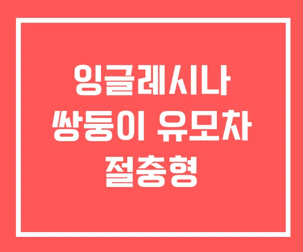 잉글레시나 쌍둥이 유모차 절충형