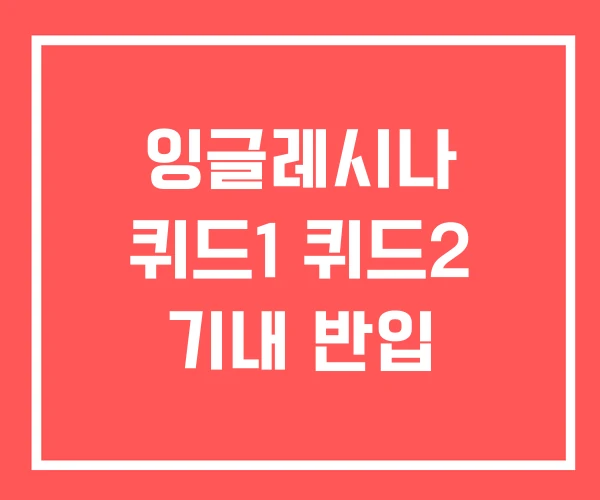 잉글레시나 퀴드1 퀴드2 기내 반입
