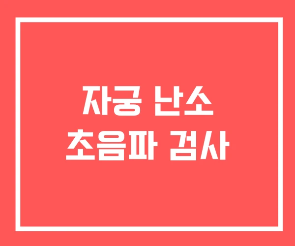 자궁 난소 초음파 검사
