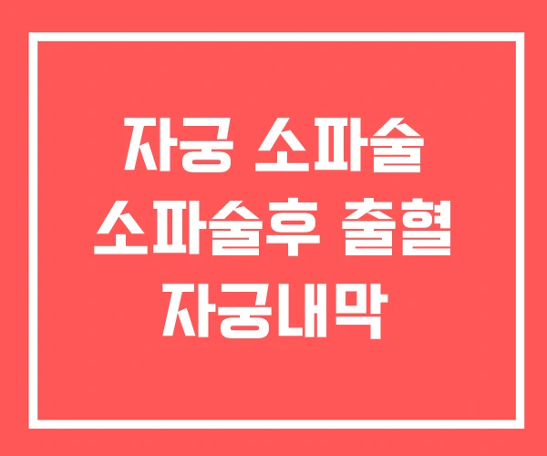 자궁 소파술 소파술후 출혈 자궁내막