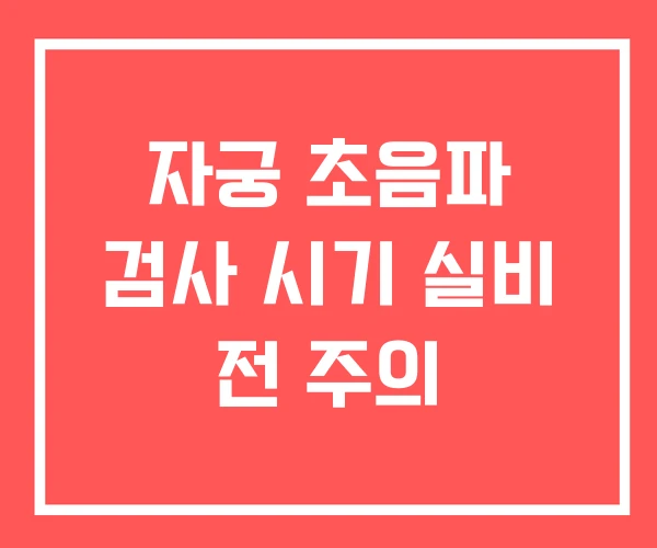 자궁 초음파 검사 시기 실비 전 주의
