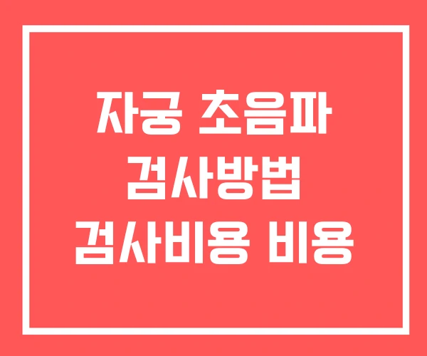 자궁 초음파 검사방법 검사비용 비용