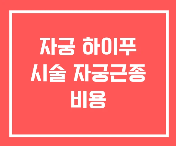 자궁 하이푸 시술 자궁근종 비용